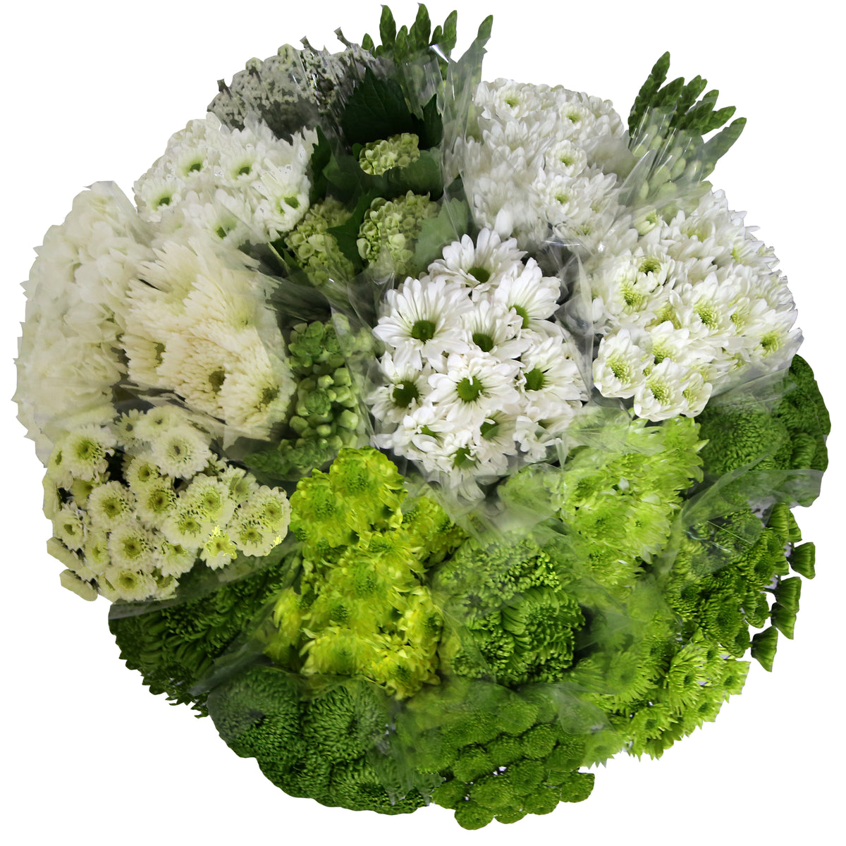 Shades of White/Green Combo Box - 5 stems Bunches – Melody Farms